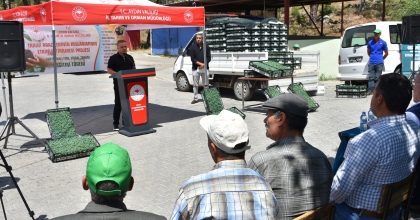 BOZDOĞAN DOMATES ÜRETİM ÜSSÜ OLACAK