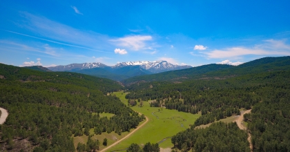 DENİZLİ BAL ORMANI ZENGİNİ