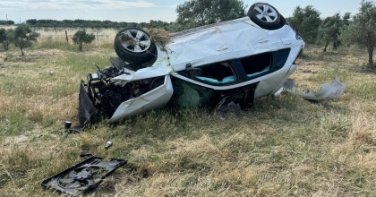 OTOMOBİL ZEYTİN BAHÇESİNE DEVRİLDİ: 5 KİŞİ YARALANDI