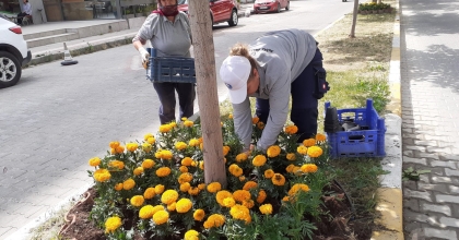 SÖKE’NİN HER YERİ RENGARENK