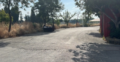 BİLYE ATAN HAVALI TABANCAYLA KÖPEĞE ATEŞ AÇTI 