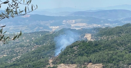 MİLAS’TAKİ ORMAN YANGINI BÜYÜMEDEN SÖNDÜRÜLDÜ  