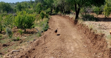 5 YILDIR KAPALI OLAN YOL YENİDEN ULAŞIMA AÇILDI 