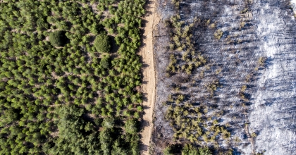 MANİSA’DA ORMANLARA GİRİŞ YASAĞI BAŞLADI  