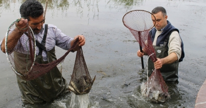 BALIKÇI KOOPERATİFLERİ SIKINTILARINI ANLATTI 