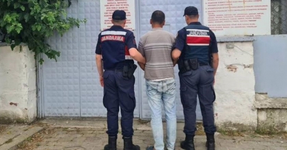 ÇALDIĞI HAYVANI SATMAK İSTEDİ, JANDARMAYA YAKALANDI