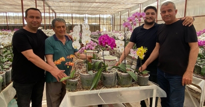 ÇİÇEK ÜRETİCİLERİ ANNELER GÜNÜ'NE HAZIRLANIYOR