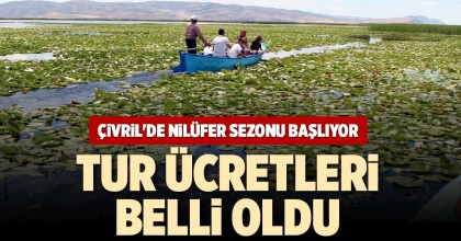ÇİVRİL'DE NİLÜFER SEZONU BAŞLIYOR