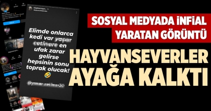 DENİZLİ'DE HAYVANSEVERLER  AYAĞA KALKTI