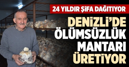 DENİZLİ’DE ÖLÜMSÜZLÜK MANTARI ÜRETİYOR