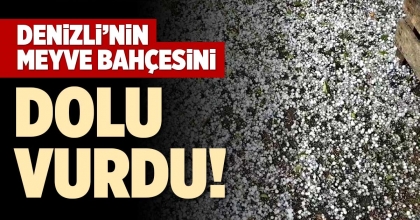 DENİZLİ’NİN MEYVE BAHÇESİNİ DOLU VURDU!