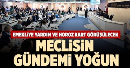 EMEKLİYE YARDIM VE HOROZ KART GÖRÜŞÜLECEK