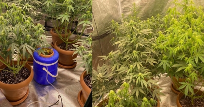 EVİNİ UYUŞTURUCU İMALATHANESİNE ÇEVİRMİŞ