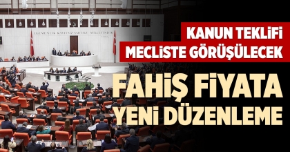 FAHİŞ FİYATA YENİ DÜZENLEME