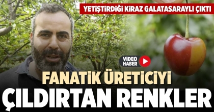FANATİK ÜRETİCİYİ ÇILDIRTAN RENKLER