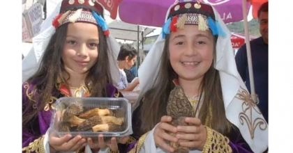 FETHİYE'NİN KUZUGÖBEĞİ AVRUPA'NIN DÖRT BİR YANINDA  