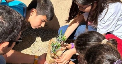 HEM ZEYTİNİN ÖNEMİNİ ANLADILAR HEM FİDAN DİKTİLER