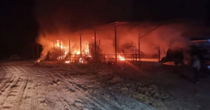 HIZLI MÜDAHALE 60 HAYVANI KURTARDI  