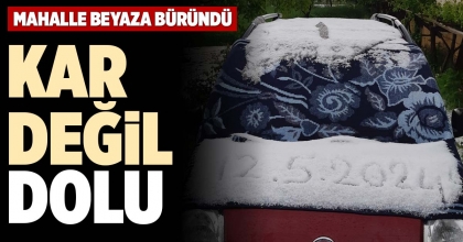 KAR DEĞİL, DOLU