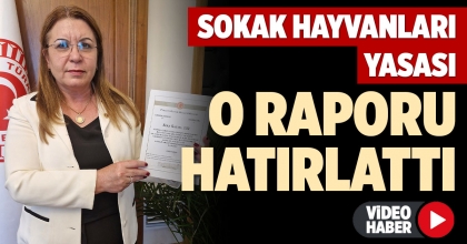 KARACA'DAN TARTIŞMALI 'UYUTMA' MADDESİNE TEPKİ 