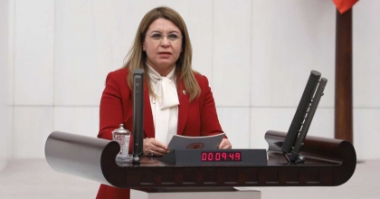 KARACA: GEZİ DEMOKRATİK TOPLUMUN VİCDANIDIR