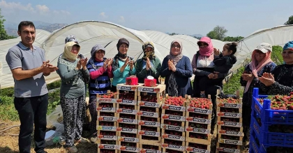 MEYDANDA DEĞİL, TARLADA KUTLADILAR  