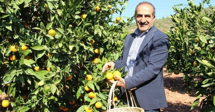 NARENCİYE İHRACATININ LİDERİ MANDALİNA, İHRACAT ARTIŞ REKORTMENİ PORTAKAL  
