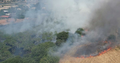 ÖRTÜ YANGINI ORMANA SIÇRAMADAN SÖNDÜRÜLDÜ