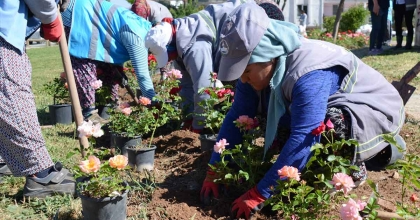 PAMUKKALE’DE BAHAR BAKIMI BAŞLADI