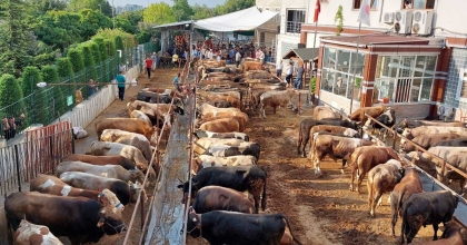 PAMUKKALE’DE KURBAN KESİM NOKTALARI BELİRLENDİ