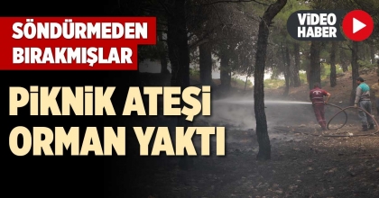 PİKNİK ATEŞİ ORMAN YAKTI