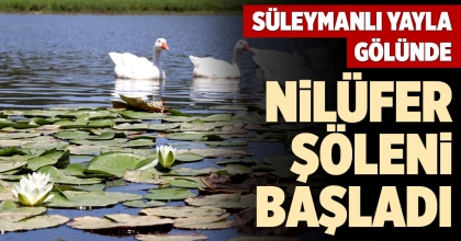SÜLEYMANLI YAYLA GÖLÜNDE NİLÜFER ŞÖLENİ BAŞLADI  