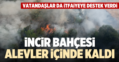 İNCİR BAHÇESİ ALEVLER İÇİNDE KALDI