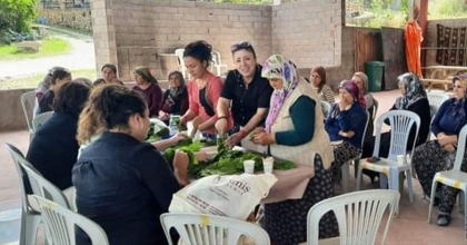 ASMA YAPRAKLARI ALTIN GİBİ SAKLANACAK