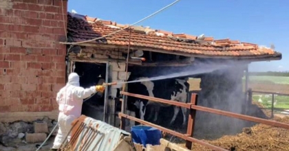 TAVAS BELEDİYESİ 2. TUR İLAÇLAMAYA BAŞLADI 