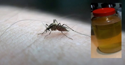 PENCERE KENARINA BİR MİKTAR KOYUN, SİVRİSİNEKLERDEN KURTULMANIZI SAĞLAYACAK TÜYO