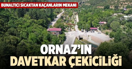 ORNAZ’IN DAVETKÂR ÇEKİCİLİĞİ