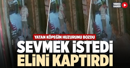 SEVMEK İSTEDİ ELİNİ KAPTIRDI