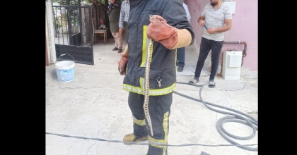 EVE GİREN YILANI İTFAİYE EKİPLERİ ÇIKARDI 