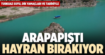 ARAPAPIŞTI HAYRAN BIRAKIYOR