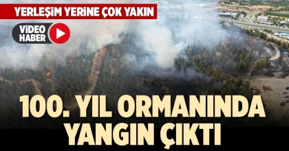 100. YIL ORMANINDA YANGIN ÇIKTI