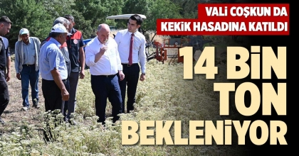 14 BİN TON BEKLENİYOR