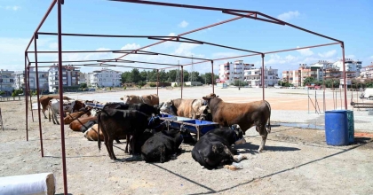 ŞEHZADELER’DE KURBAN KESİM YERLERİ BELİRLENDİ  