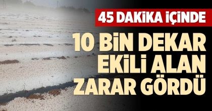 45 DAKİKA İÇİNDE 10 BİN DEKAR EKİLİ ALAN ZARAR GÖRDÜ