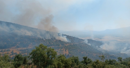 MANİSA’DAKİ YANGINDA 5 BİN DÖNÜMLÜK ALAN KÜLE DÖNDÜ