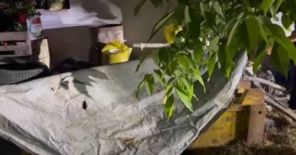 ÖNCE KEŞİF YAPTILAR SONRA ÇALDILAR