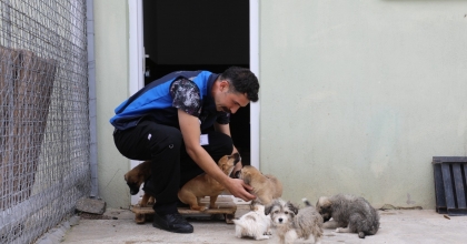 3202 CAN DOSTU YENİ YUVALARINA KAVUŞTU  