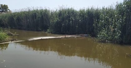 DİDİM'DE HAYALET AĞ OPERASYONU 