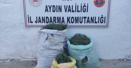 DİDİM'DE 70 KİLOGRAM DENİZ BÖRÜLCESİ ELE GEÇİRİLDİ  