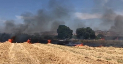 EKİN TARLASINDA YANGIN: 30 DEKAR ALAN KÜL OLDU  